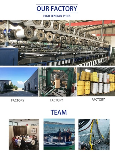 The Pioneering Role of Pudong New Area in Textile Industry