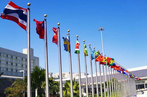 Chinas Textile Export Giant:A Journey to Global Success