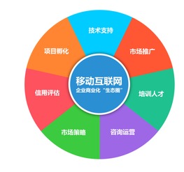 DMFA在纺织品领域的应用与案例分析