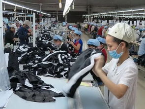 禹州市服装纺织品批发市场英语口语