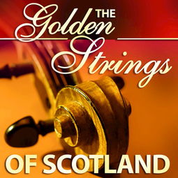 The Journey of Gold Strings:The Story of 金琴韵纺织品