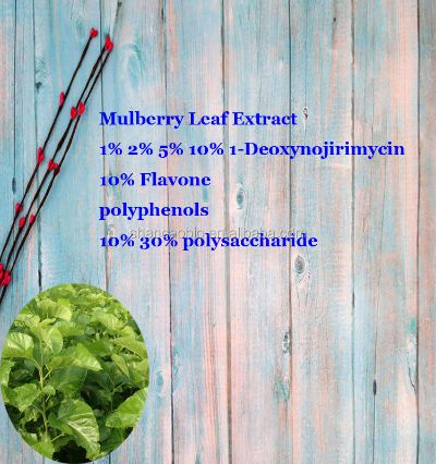 The Multifaceted Uses of Mulberry Leaves in Textile Production