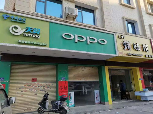 出租南园纺织品铺面信息