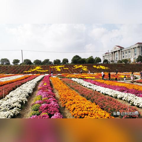 常熟七彩纺织品批发市场的探索之旅