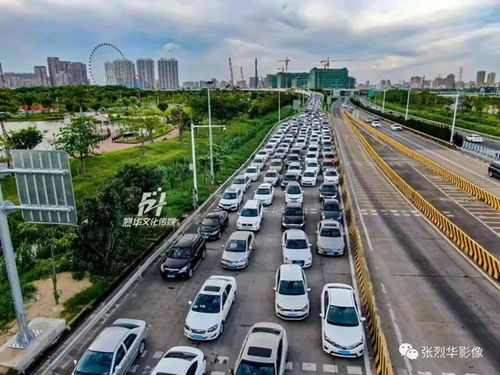 汕头纺织品公路运输案例分析