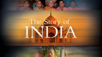 The Story of Textile Factorys Polyester and Cotton