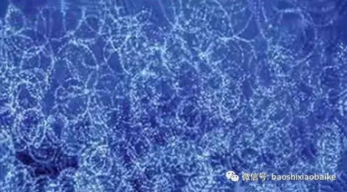 芬蓝纺织品，品质与创新的融合