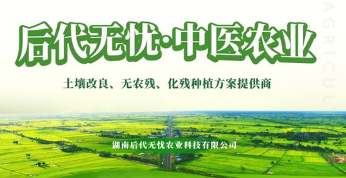 中国纺织品生态标签，引领绿色发展新篇章