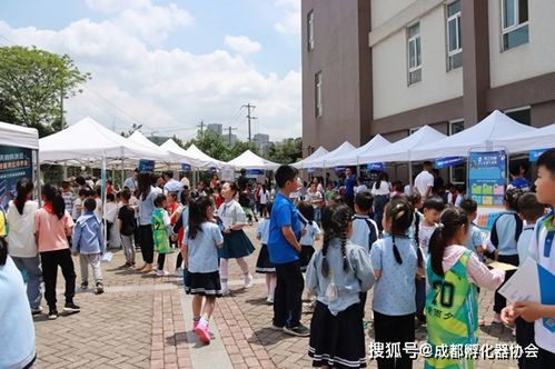 桂园纺织厂，绿色织就未来