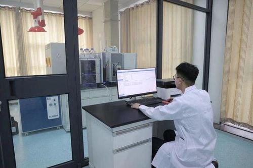 衡水纺织品检测平台，高效与精准的纺织品质量保障