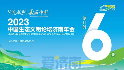 衡水纺织品检测平台，高效与精准的纺织品质量保障