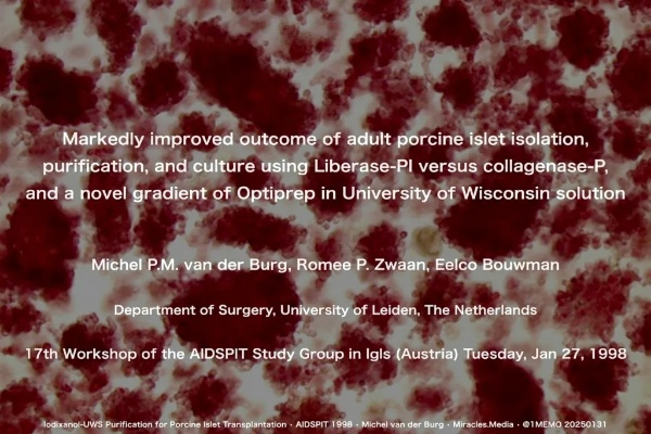 The Redness of Textiles:A Unique Visual Expression