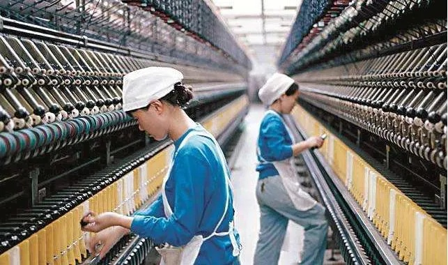 The Journey of 登歌纺织品，探索纺织品行业的深度与广度
