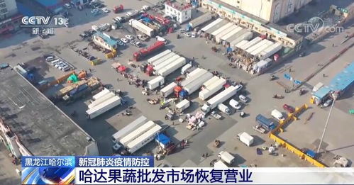 邢台沙河市纺织品批发市场的探索与案例分析