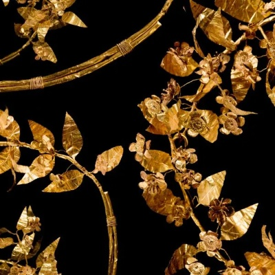 The Transformative Journey of the Golden Textiles Manufacturing Plant