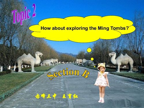 Exploring the Varieties of Fabrics in Shandong:A Tapestry of Textile Arts