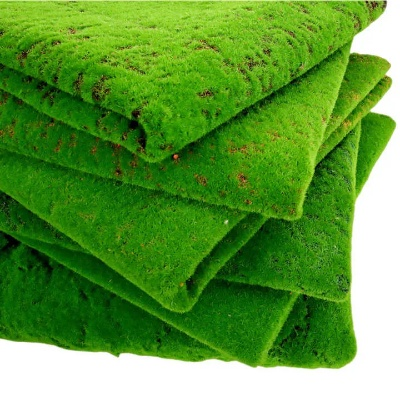 Exploring the Price Landscape of Green Kitchen Textiles in Jiangsu