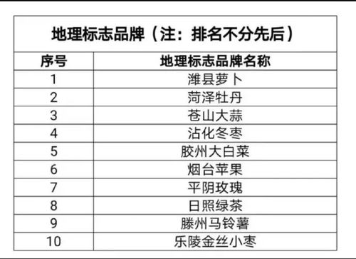 山东直销针纺织品品牌排行报告
