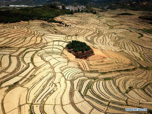 Exploring the Industrial Landscape of Textile Production in Guangxi,China