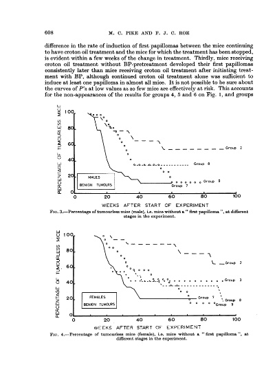 The Varied Dimensions of Textile Testing Standards:A Comparative Analysis