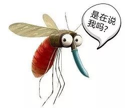纺织品防蚊策略，有效减少蚊子叮咬的实用方法