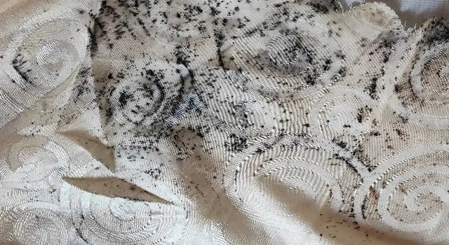 纺织品防霉处理的重要性及有效方法