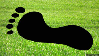 The European Carbon Footprint Standards for Textiles:A Comprehensive Analysis