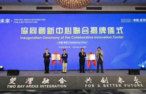 无锡纺织品交流会，纺织产业盛会与未来趋势