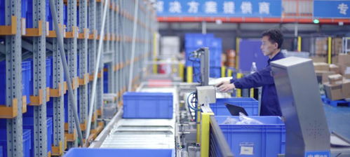 废旧纺织品分拣中心的运营与案例分析