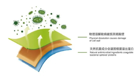 提升纺织品细胞毒性，从源头到应用的多维度策略