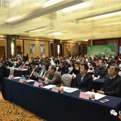 宁波纺织品牌女装定制价格解析