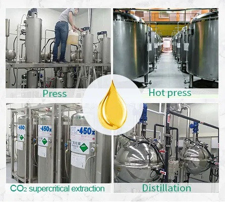 Introduction to Textile Oil Treatment
