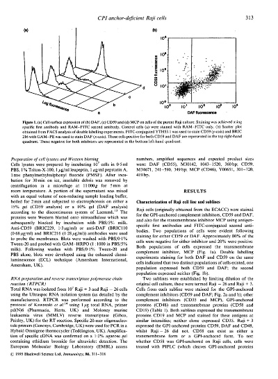 The Evolution of Textiles Through Pyrolysis