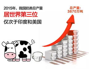 美国纺织品JU，品质与选择的双优之旅