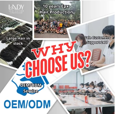 Vietnamese Textile Factory Revival:A Journey Towards Economic Recovering
