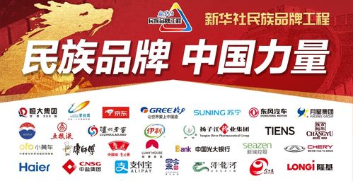 通州区懒人猫纺织品牌推广