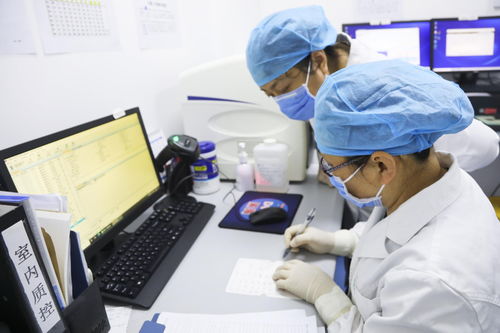 青岛纺织品QA，质量保证与严格把控