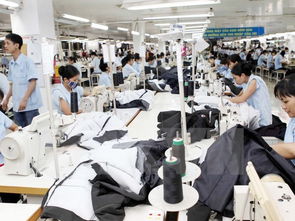 荣成建元纺织品服装，探索品牌魅力与市场机遇