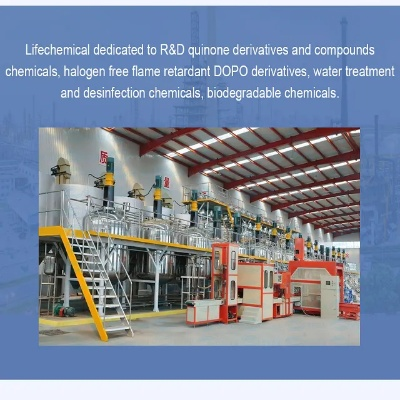 The Dynamics of Shandong Textile Wholesale Industry