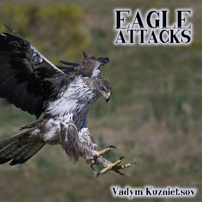 The Multifaceted World of Giant Eagle Textiles