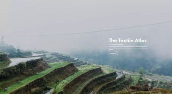 The Textile Cleanliness Expert:A Comprehensive Guide