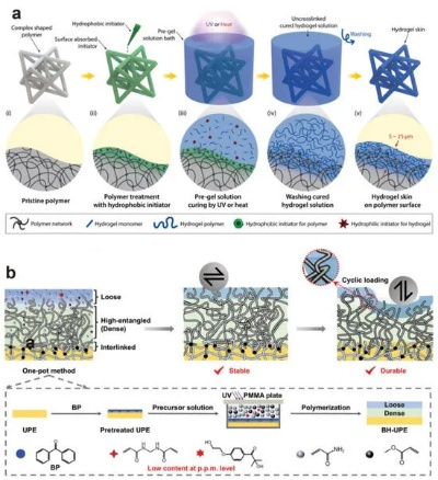 The Role of Textile Materials in Our Lives:An Exploration of Component P