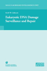 Textile Damage Repair and Sewing Maintenance