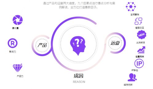 国内纺织品最高认证，全方位解读与案例分析