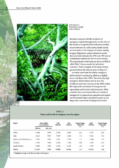 Exploring the World of Nature with Senyu Textiles
