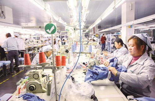 上海自动针纺织品厂家批发价分析