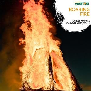The Fire Temperature of Textiles During烧毁