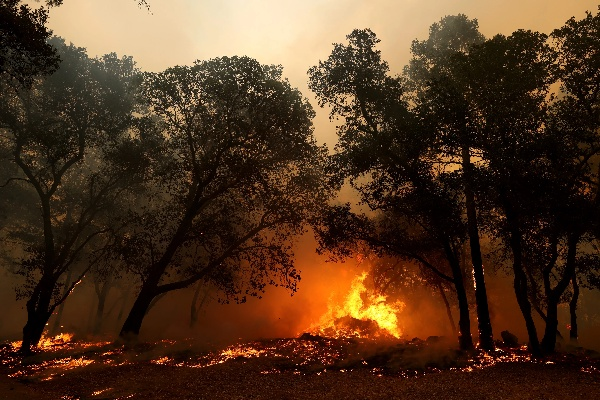 The Fire Temperature of Textiles During烧毁
