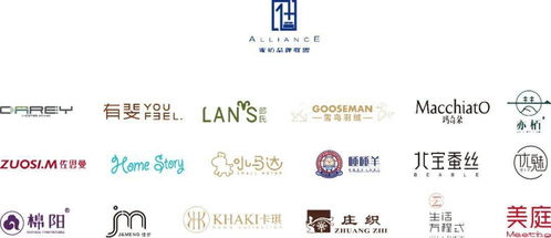 七星纺织品牌介绍图片