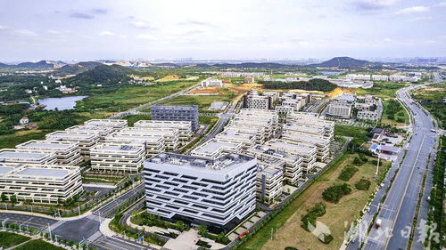 泰衡纺织品园区介绍与案例分析